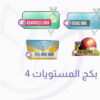 باكيج المستويات 4